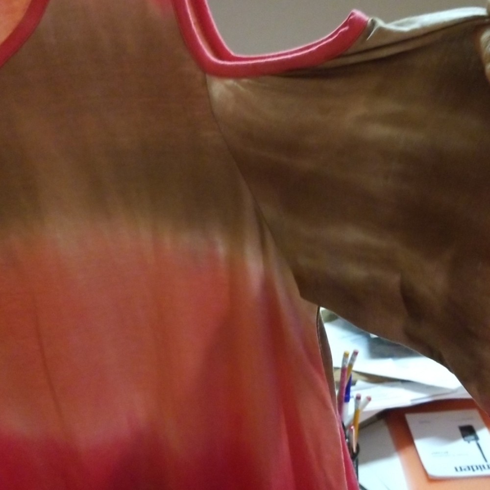 Tunic - Picture 2 of 4